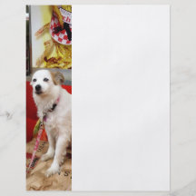 Cão no carnaval panfleto personalizados