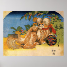 Cão peludo do chinês do vintage posteres