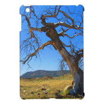 Capa de ipad da árvore do deserto iPad mini capas