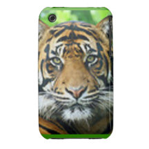 Capa de telefone do tigre iPhone 3 capas