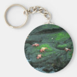 Caranguejos de Sally Lightfoot Chaveiro