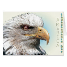 card949 cartão