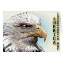 card950 cartão