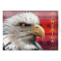card952 cartão