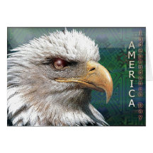 card955 cartões