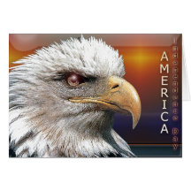 card958 cartao