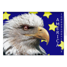card960 cartão