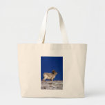 Carneiros de Dall (grande ram na skyline nevado) Bolsa