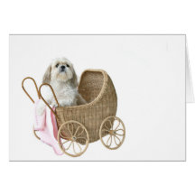 Carrinho de bebê Shih Tzu Cartões