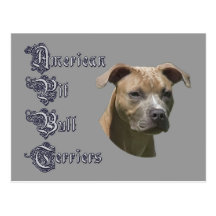 Cartão americano de Terrier (APBT) de pitbull Cartão Postal