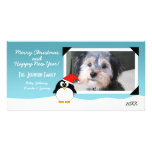Cartão com fotos do pinguim do feriado do Natal
