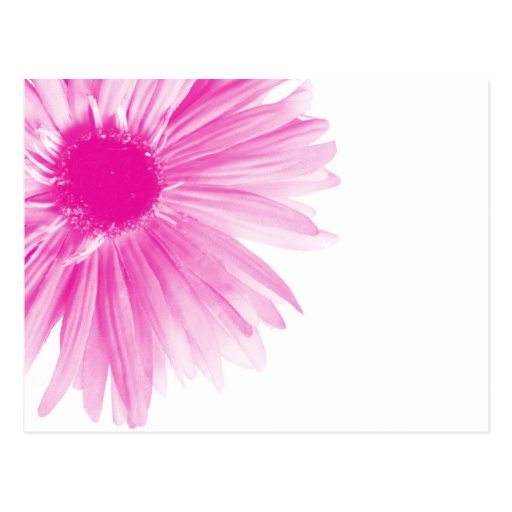 cartao_cor_de_rosa_do_fundo_do_design_da