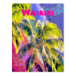 Cartão da cor da palmeira de Waikiki Cartões Postais