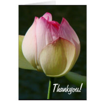Cartão da flor de Lotus Thankyou