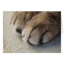 Cartão das patas
