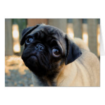 Cartão de aniversário bonito do filhote de cachorr