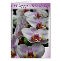 Cartão de aniversário da orquídea