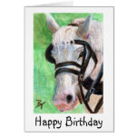 Cartão de aniversário do retrato do cavalo