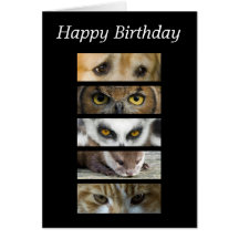 Cartão de aniversário - olhos dos animais