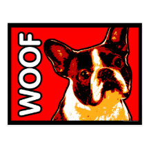 Cartão de Boston Terrier Cartao Postal