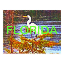 CARTÃO DE FLORIDA CARTÕES POSTAIS