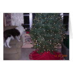 Cartão de Natal de Cassie
