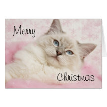 Cartão de Natal de Ragdoll