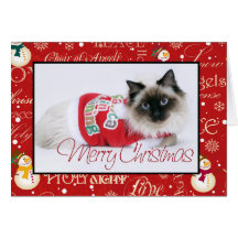 Cartão de Natal de Ragdoll