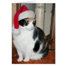 Cartão de Natal do gatinho do papai noel para o am