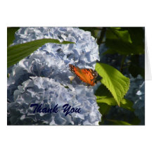Cartão de nota azul do Hydrangea