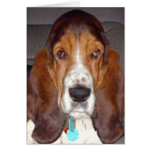 Cartão de nota de Basset Hound