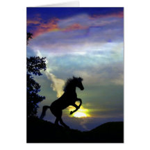 Cartão de simpatia do cavalo