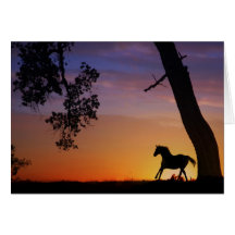 Cartão de simpatia do cavalo