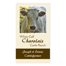 Cartão de visita da carne do charolês