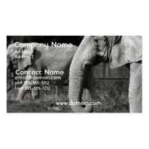 Cartão de visita do elefante asiático