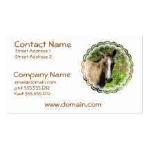 Cartão de visita do potro do cavalo