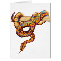 Cartão do cobra do Constrictor de boa do arco-íris