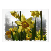 Cartão do Daffodil Convite