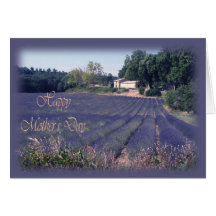 Cartão do dia das mães - campos da lavanda