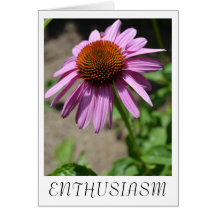 Cartão do Echinacea do entusiasmo