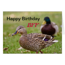 Cartão do feliz aniversario BFF dos patos