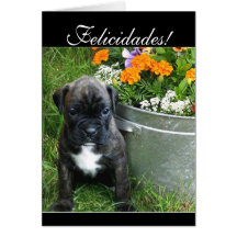 Cartão do filhote de cachorro do pugilista de Feli