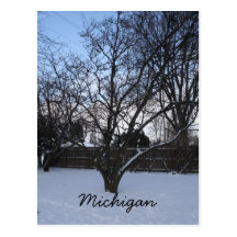 Cartão do inverno de Michigan Cartoes Postais
