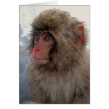 Cartão do macaco