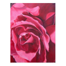 Cartão do rosa do rosa cartões postais