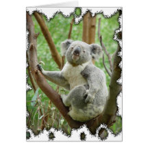 Cartão do urso de Koala