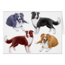 Cartão dos Collies de beira