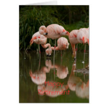 Cartão feliz da aposentadoria dos flamingos
