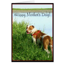 Cartão feliz de Pitbull do dia das mães