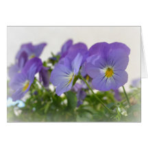 Cartão roxo dos Pansies
